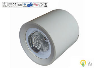 160Lm/W Buiten LED-verlichting IP65 Waterdicht Oppervlak gemonteerde armature Smart Control met Epistar